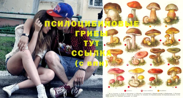 СК Новокубанск